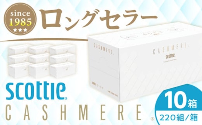 スコッティ カシミヤ 10箱 1