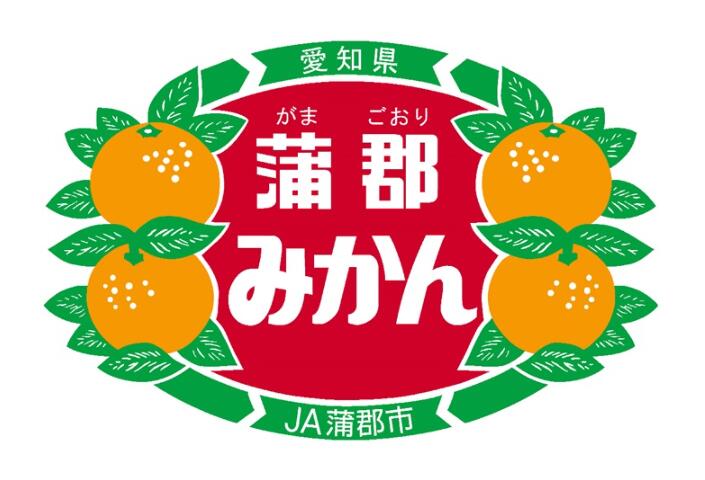 蒲郡温室みかんLサイズ36玉 2