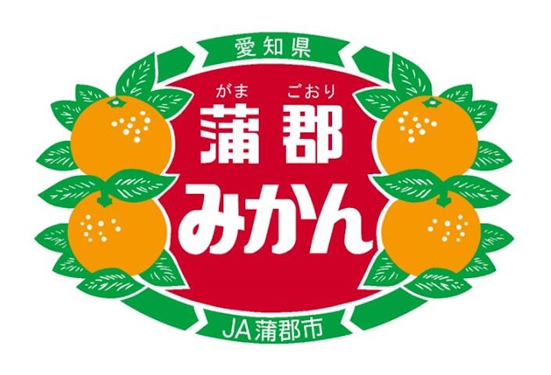 蒲郡温室みかんLサイズ36玉 2