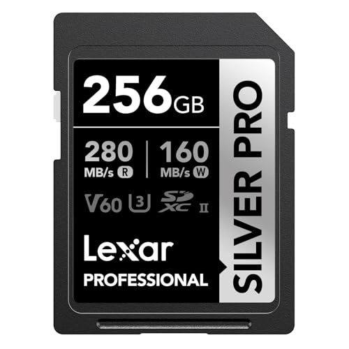 Professional SILVER PRO SDXC UHS-II カード 1