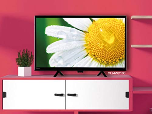 ドウシシャ ORION ハイビジョン液晶テレビ OL24WD100を検証