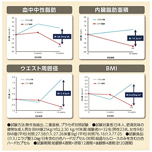 スリムバリアV6 7