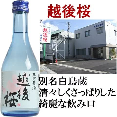 日本酒 飲み比べセット 6