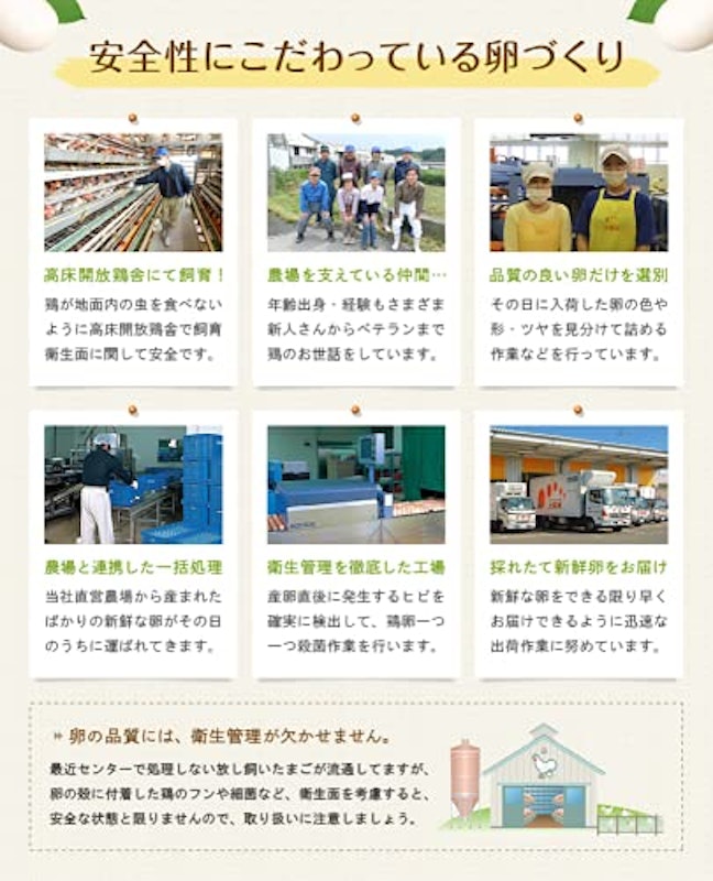 特選太陽卵 赤玉 6