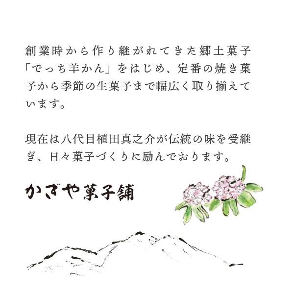 でっち羊かん 9