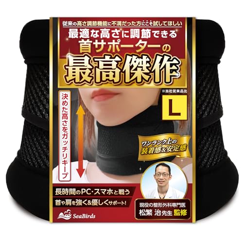 首サポーター 1