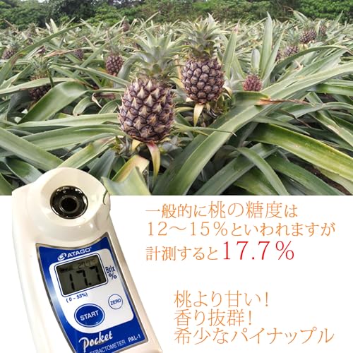 沖縄産ピーチパイン 3