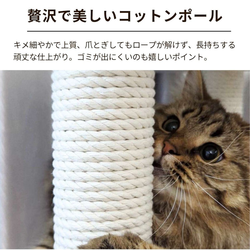 RESIDENCE 宇宙船タイプ 9