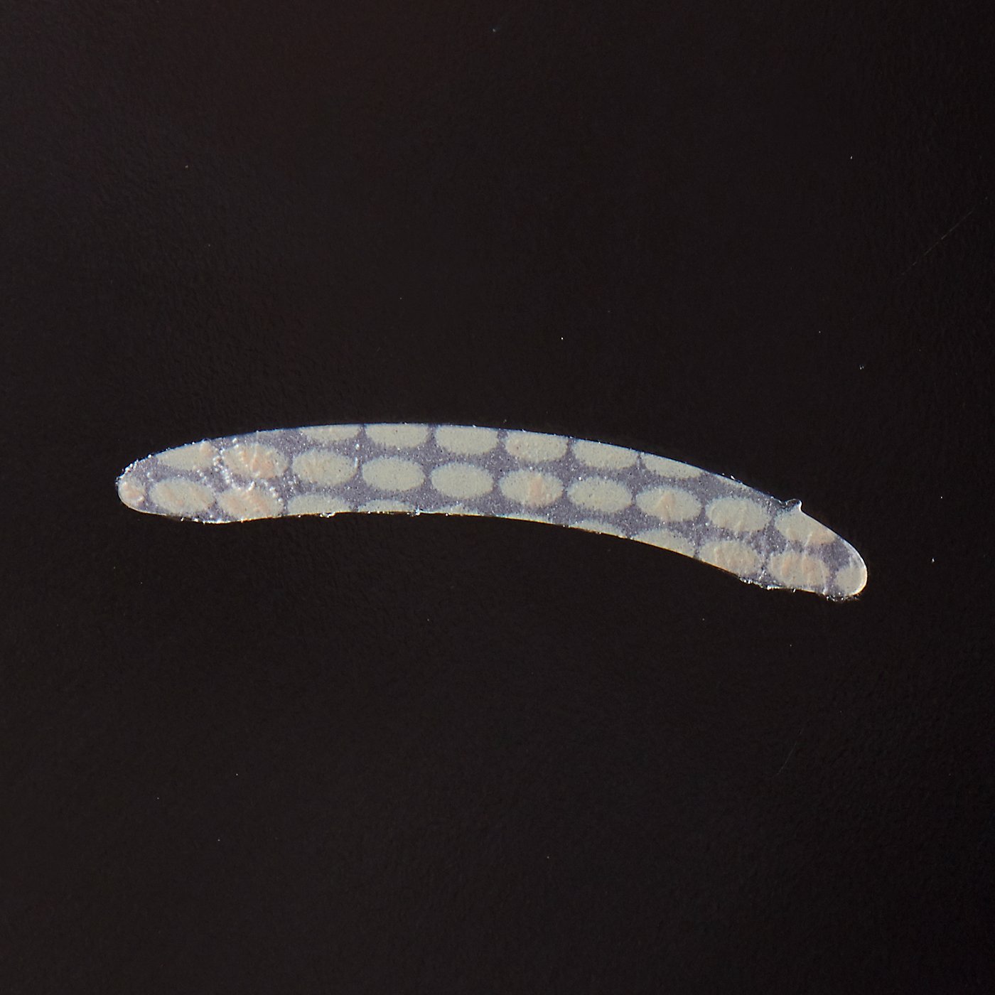 ふたえテープ 肌になじむ絆創膏タイプ 3