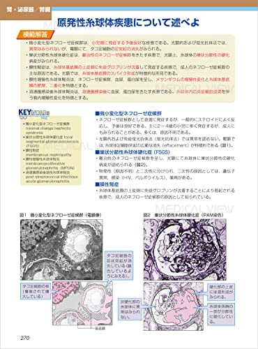 カラーイラストで学ぶ 集中講義 生化学 改訂2版 8