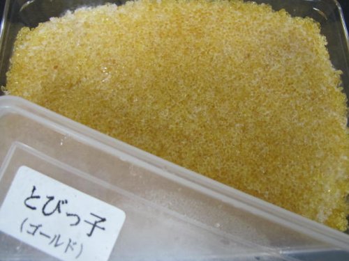 山本水産　トビッコ 2
