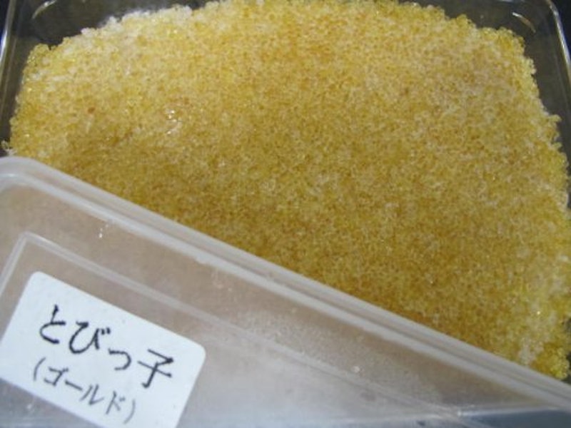 山本水産 トビッコ 2
