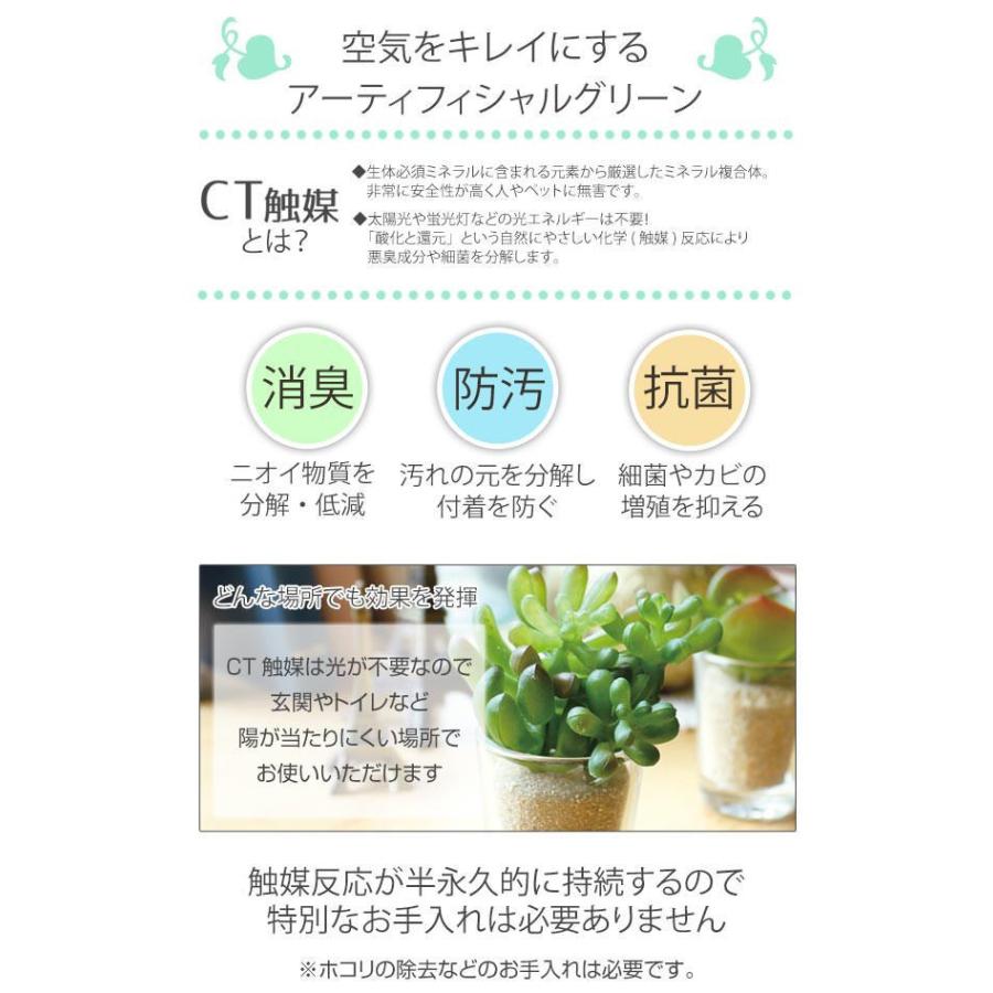 フェイクグリーン ドウダンツツジ 3