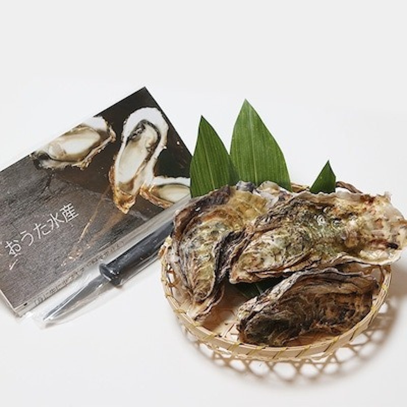 能登牡蠣 殻付牡蠣半缶 3