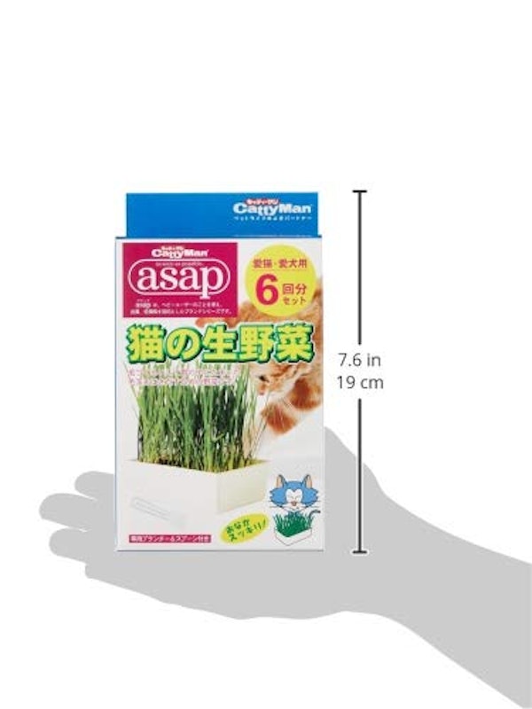 キャティーマン asap 猫の生野菜 7