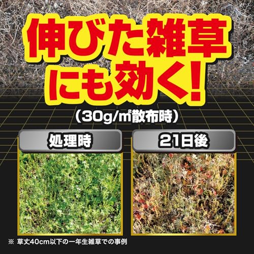 草退治ストロング 粒剤 4