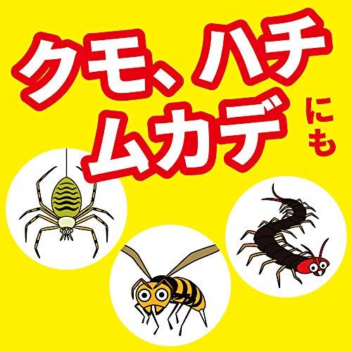 アリキンチョール 6