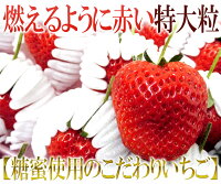 ひのしずく きくちのまんま 2