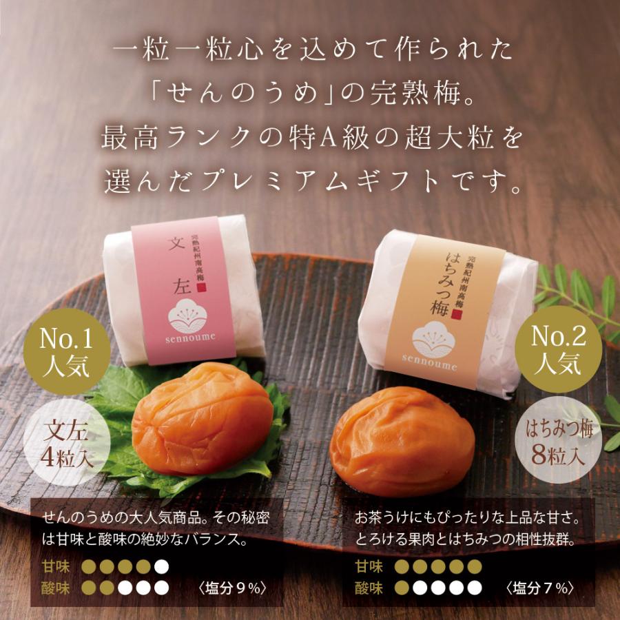 梅ごこち 2