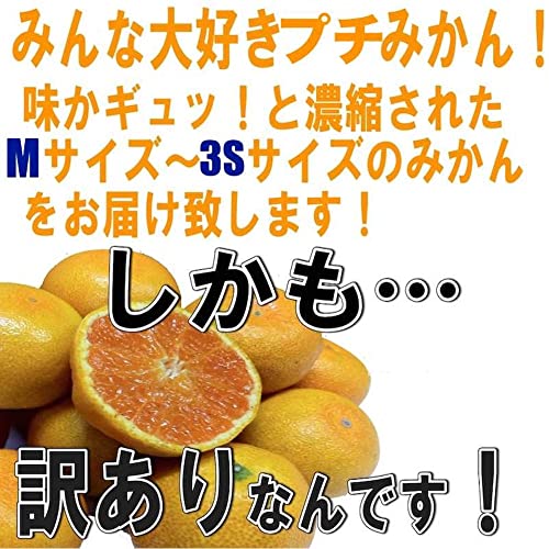 和歌山 訳あり みかん 2