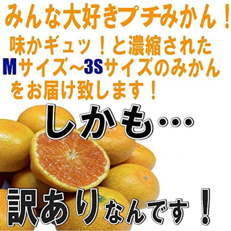 和歌山 訳あり みかん 2