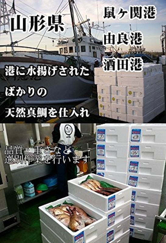 お食い初め 鯛 はまぐり セット 5