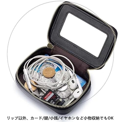 リップケース 6