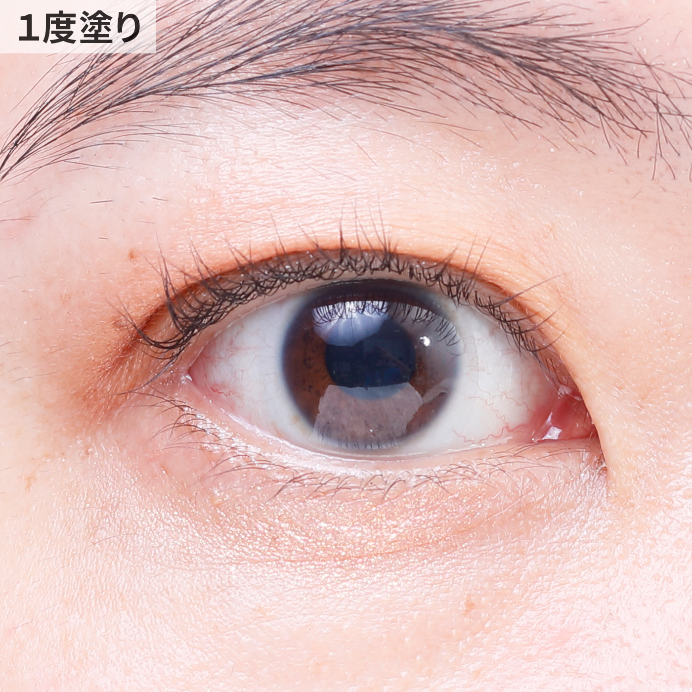 エスポア リアルアイパレット 5