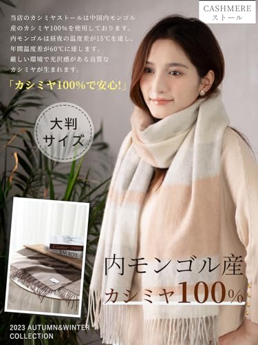 レナ・ランゲ/カシミアノースリーブセーター 目立と 