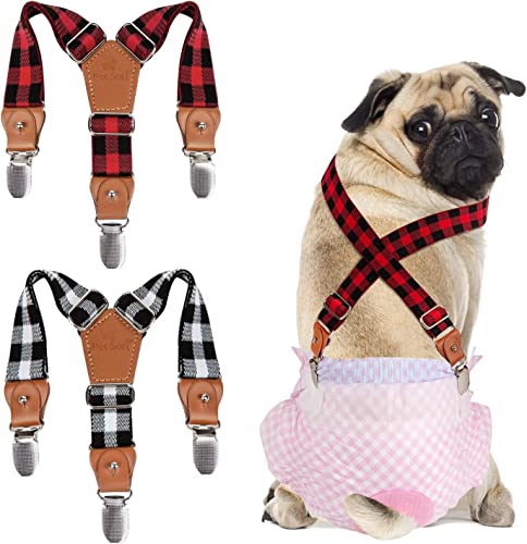 22年 犬用オムツのおすすめ人気ランキング35選 Mybest