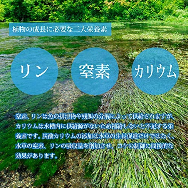 22年 水草肥料のおすすめ人気ランキング10選 Mybest 22年 水草肥料のおすすめ人気ランキング10選 Mybest