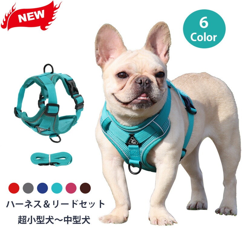 22年 かわいい犬用ハーネスのおすすめ人気ランキング40選 Mybest 22年 かわいい犬用ハーネスのおすすめ人気ランキング40選 Mybest