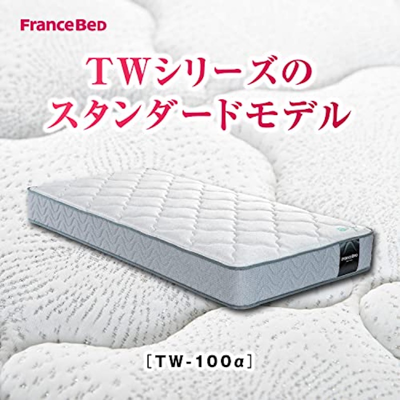 ツインサポートスプリング TW-100α 2