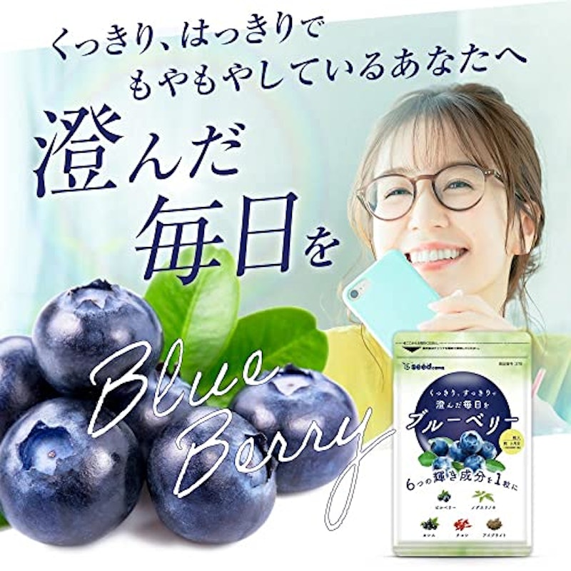ブルーベリー 2