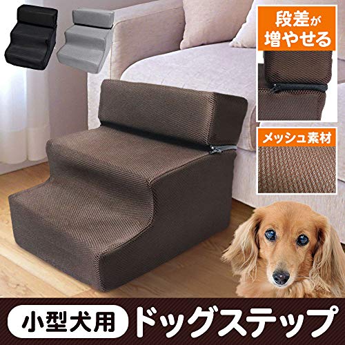ドッグステップ 6