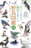 野鳥図鑑のおすすめ人気ランキング 1