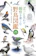 ナツメ社 ぱっと見わけ 観察を楽しむ 野鳥図鑑 増補改訂版 1