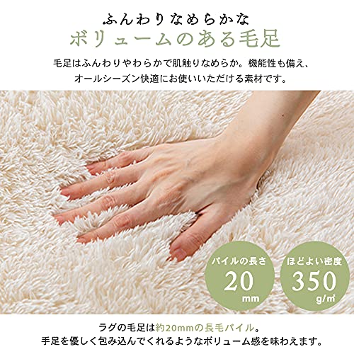 シャギーラグ 3