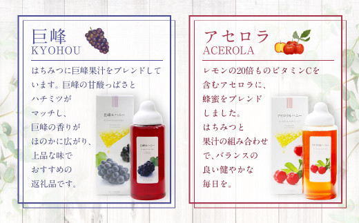 果汁入りはちみつ 3