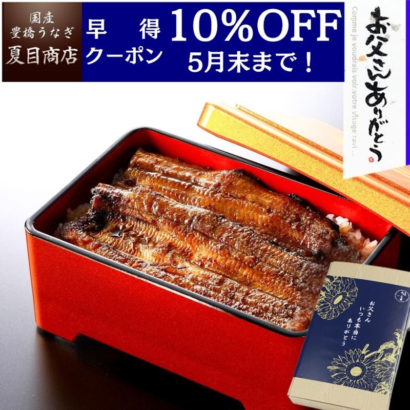 豊橋うなぎ 1