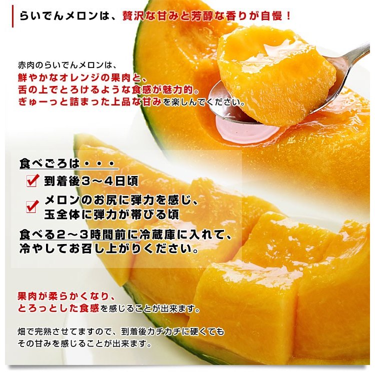 らいでんメロン 3