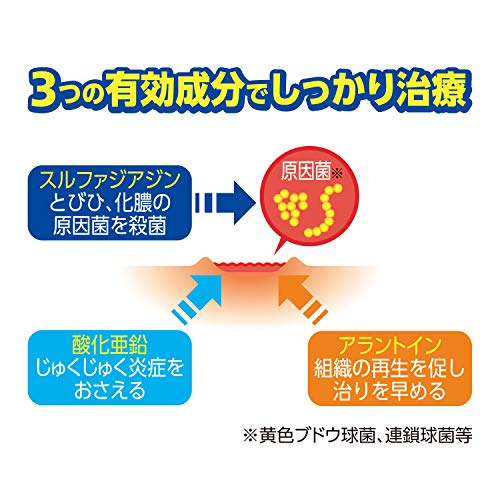 オノフェF 4
