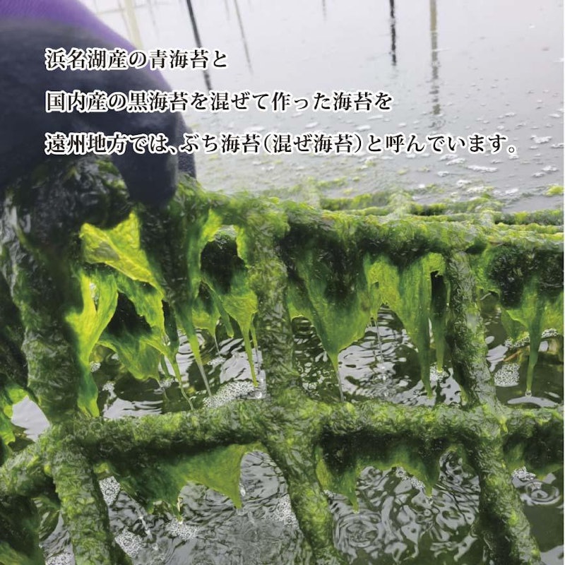 浜名湖ぶち海苔 2