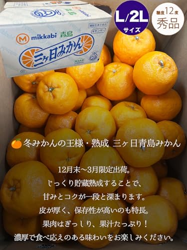 本貯蔵青島 「誉れ」 3