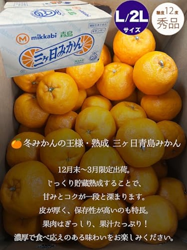 本貯蔵青島 「誉れ」 3