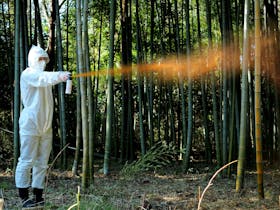 SABRE FRONTIERSMAN ベアスプレーをレビュー!クチコミ・評判をもとに徹底検証 2