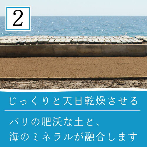 TEJAKULA バリ島の完全天日塩 あらじお 3
