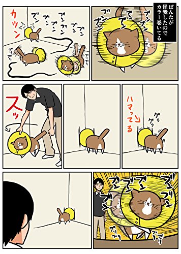 鴻池剛と猫のぽんた ニャアアアン！ 3