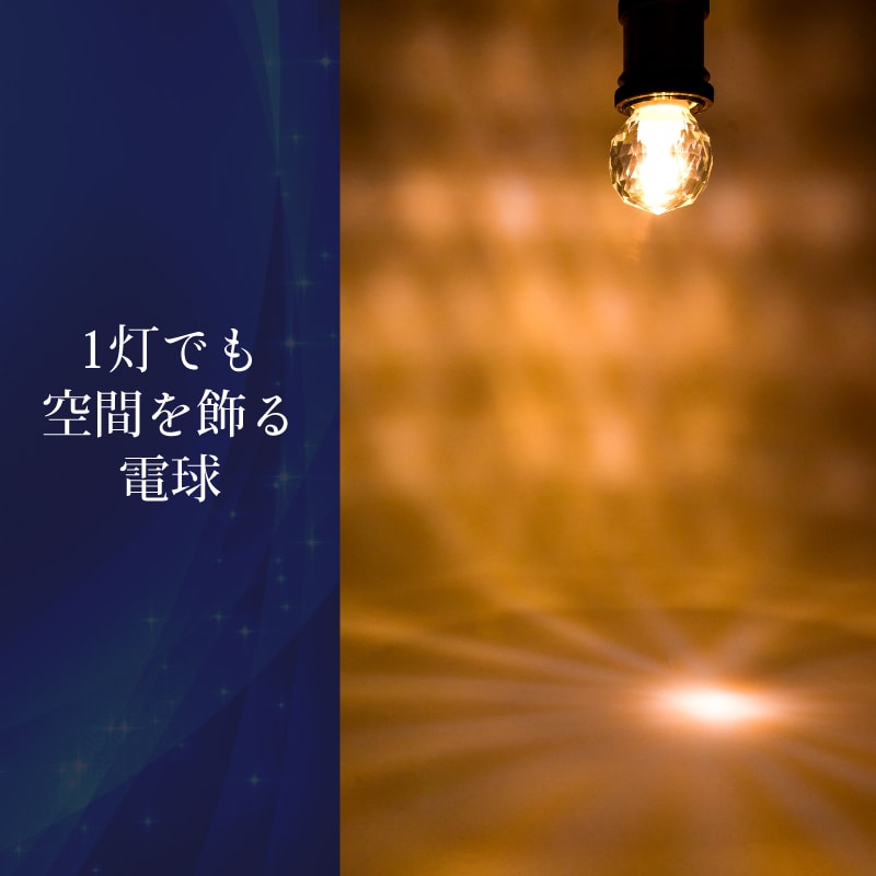 LED電球 6