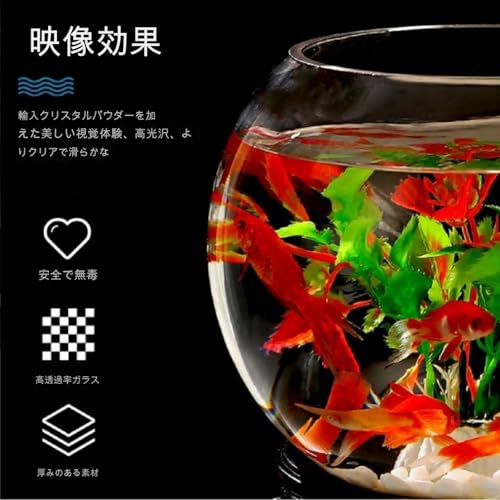 金魚鉢 5